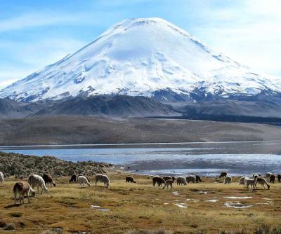 団塊夫婦の世界一周絶景の旅（2012）ーチリ２/標高４５００ｍのラウカ国立公園の絶景