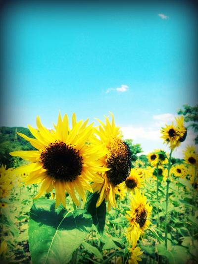 プラっとハウステンボスへ