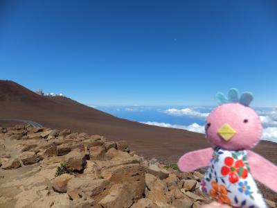 「ALOHA！やっぱりハワイへいこう」ってことで行ってきました♪～マウイ島編～2012年7月