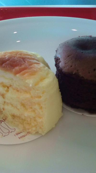 函館☆　五稜郭～食べ歩き～港まつり花火！