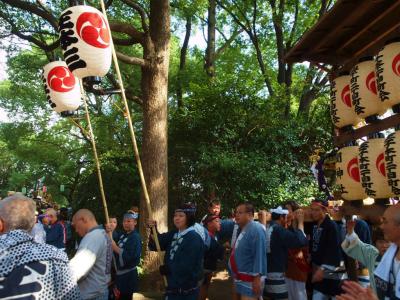 日本の祭　２０１２　東京都北区　王子神社　例大祭　御宮出し　ささら囃子ー２　