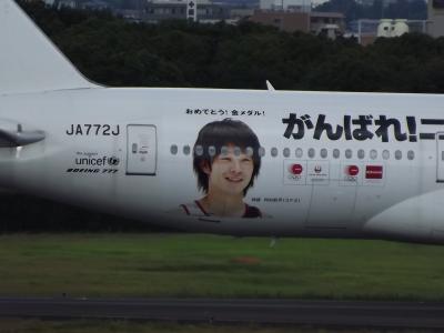 飛行機を見に伊丹スカイパークへ♪withワンコ