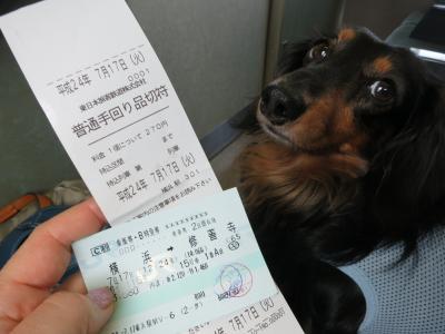 犬とお泊り・修善寺と乗り物の旅