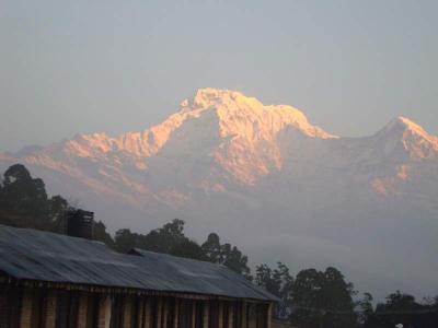 冬のネパール、アンナプルナ山麓　トレッキングとチトワン国立公園