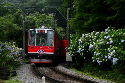 箱根のあじさい電車と鎌倉