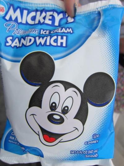 WDW 2011年 ウォルト・ディズニー・ワールド① 個人手配で行くbyぬてまろ