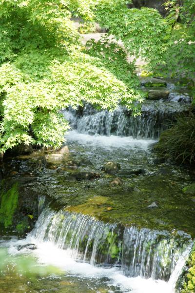 20120510 京都 中央卸売市場 → 梅小路公園 → 新福菜館