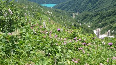 登山