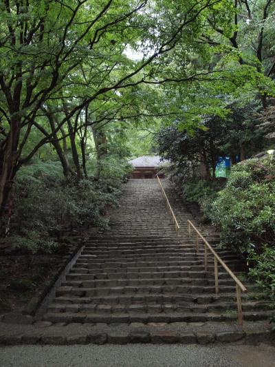 室生寺の秘宝とハーブクラブでのランチ