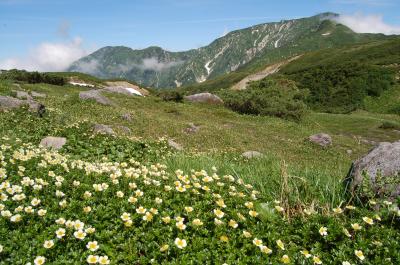 立山アルペンルートの旅