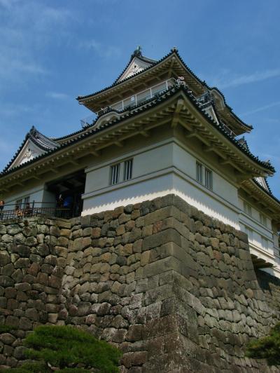 史跡 小田原城、桜花に彩られるとき　☆京成ウォーキングツアーで