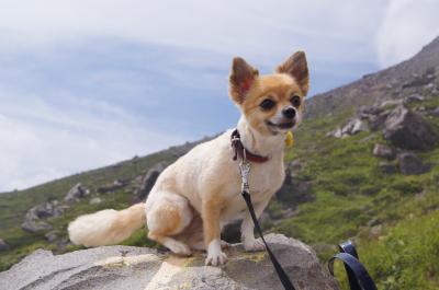 pocoと旅する那須&amp;福島