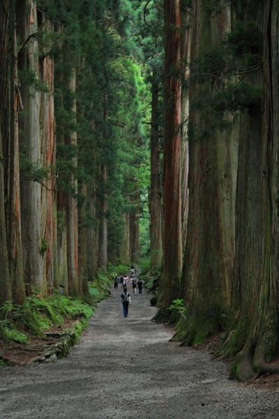 2012・夏　信州の旅 ◆ 3日目　戸隠神社