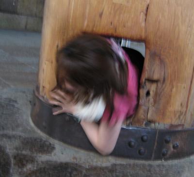 奈良‐◇20年ぶり！東大寺