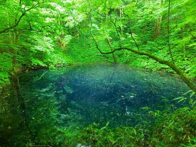 東北一周ツアー（十二湖・青池・鶏頭場の池）