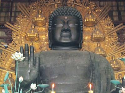 奈良公園近辺散策と京都伏見酒蔵巡り