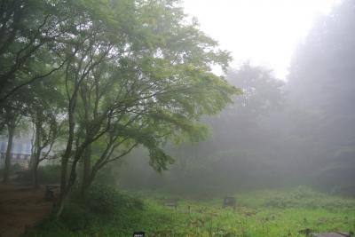 霧の六甲高山植物園