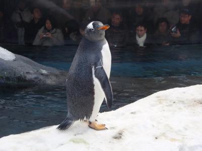 《2007年12月》寒～い北海道！！旭山動物園・小樽・札幌