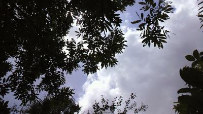 カンボジア一人旅 移動編