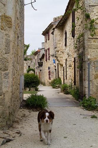 Larressingle（ラレザングル）- フランスで最も美しい村巡り2011 4travel No.46-