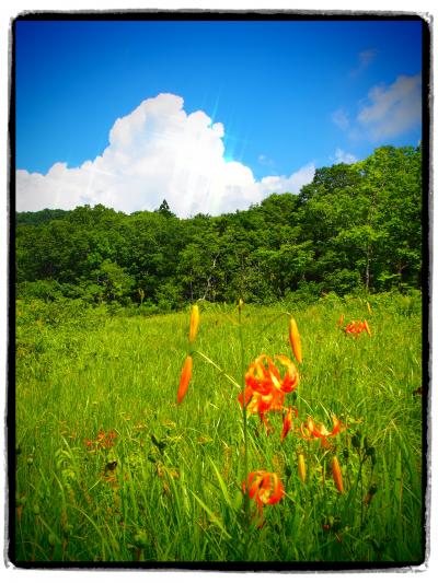 盛夏の季節、上毛高原に避暑の旅へ…【４】～蒼天の玉原湿原を歩き、「天狗の寺」迦葉山弥勒寺へ詣る～