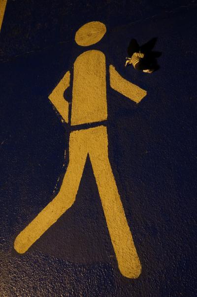 「4」海外43回目はペルー・ブラジル・アルゼンチン(クスコ→リマ経由でイグアス編）