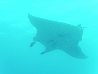 2012年夏・沖縄離島の旅！石垣島編