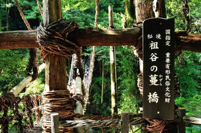 夏キャンプでのドライブ（大歩危・祖谷のかずら橋）