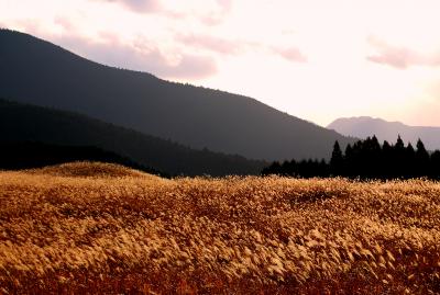 奈良県　いにしえのすがたをそのままに曽爾高原の夕日
