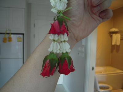 20120812-15 殆ど寝て過した夏休みwith初First Class