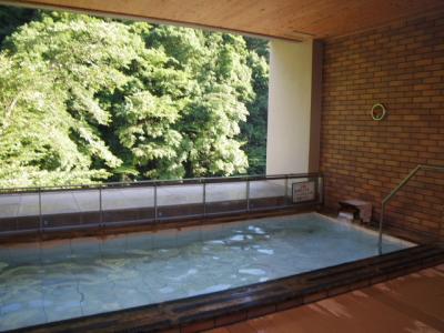 山陰・山陽温泉の旅（2012年7月）。。。その８「広島市　湯来温泉　国民宿舎　湯来ロッジ」