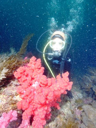 (追記あり）留学中！思い立って一人チェジュ島ダイビング旅行