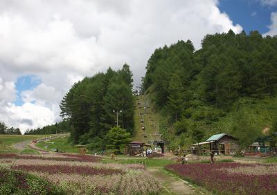 涼を求めてヘブンスそのはらへ