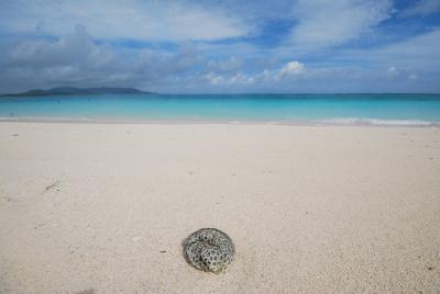 久米島と沖縄本島 前編