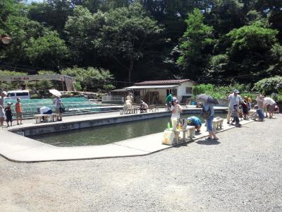 初めての魚釣りに大興奮　ｂｙ大明神釣堀センターで釣り大会　【長野県伊那市】手ぶらで気軽に利用できます  格安料金にバンザイ