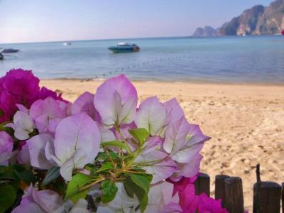 ⑤2008年プーケット&ピピ島de12日(ピピ散歩とTSUNAMI慰霊碑)