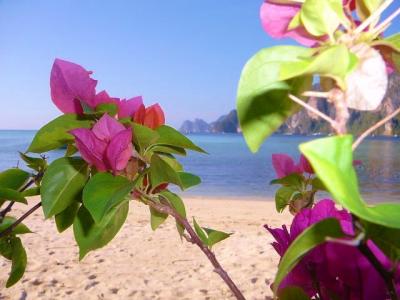 ⑦2008年プーケット&ピピ島de12日(マヤベイ&プーケットに戻ります)