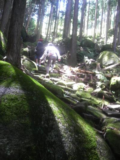 「和具の浜海岸」、熊野古道「八鬼山越え」、「魚跳渓」激安1泊2日