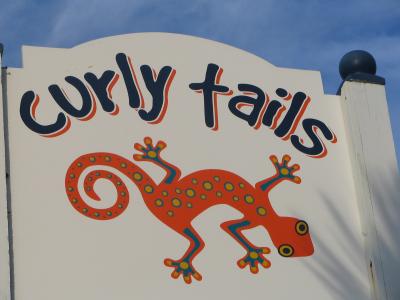 東洋人は珍しい!