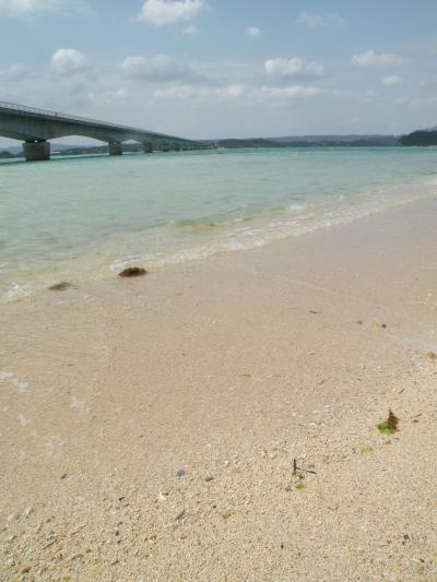 ～旅風に誘われて40～　初めての沖縄で