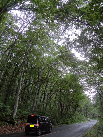 この夏は山陰エリアを駆け巡る！③～3日目後半は山エリアをドライブ♪蒜山から大山へ～