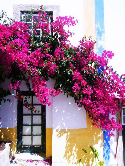 Wedding Present Town -Obidos-