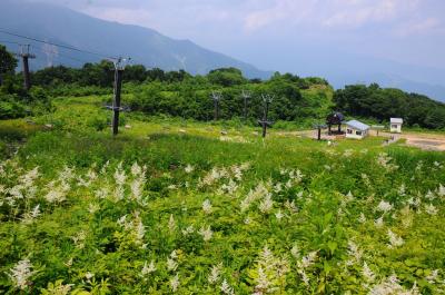 今年も白馬へ【１】～白馬五竜・アルプス平自然遊歩道～