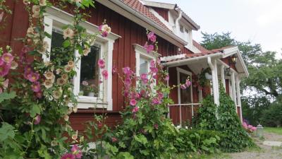 伝統的なスウェーデンのサマーハウスで過ごす小さな夏休み