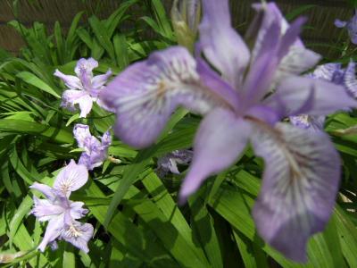 富山金太郎温泉２連泊３日間