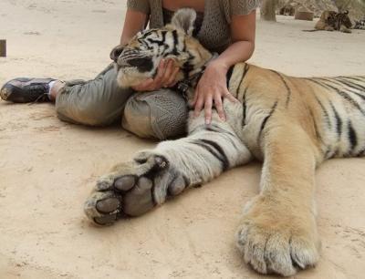 34:タイ_6(カンチャナブリ)