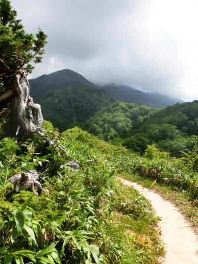 夫と登って熊本のおじさんと下山した　晩夏の三ノ峰登山　