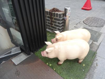 2回目の韓国、3回目のSMT 5日目