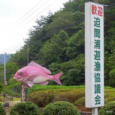 熊野灘にそった国道260号線をドライブ