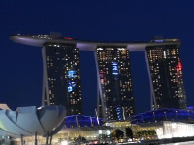 夜景の美しいシンガポール